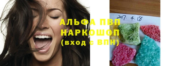 стафф Арсеньев