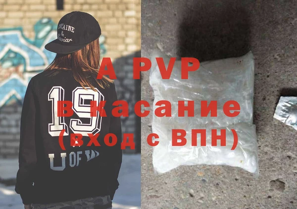 стафф Арсеньев