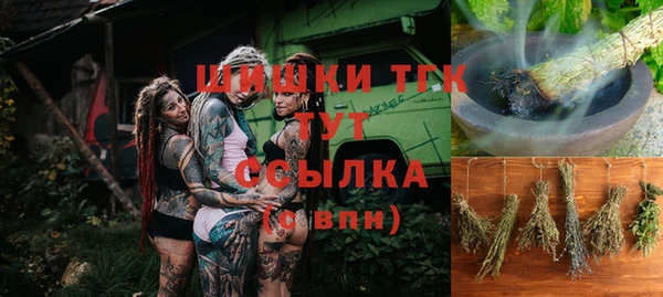 стафф Арсеньев