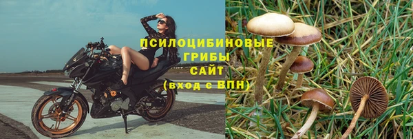 таблы Няндома