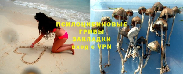 стафф Арсеньев